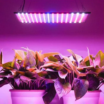 Samsung LM281B с мощност 1000 W с пълен набор от led осветление Quantum гама sunlike Grow Лампа за осветление на растежа на растенията в оранжерията